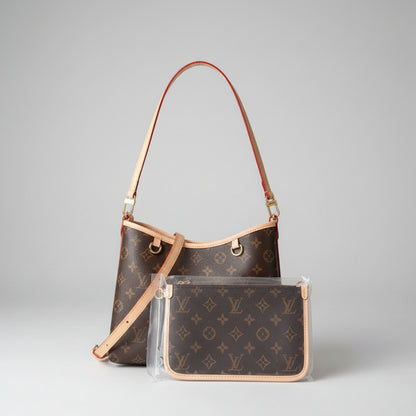 SAC LV CaryAll
